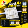 led 4 points