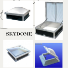 Skydome de toit