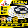 RUBAN Z